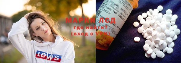 стафф Осинники