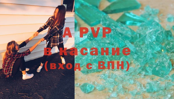 ECSTASY Тында