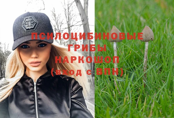 эйфоретик Баксан