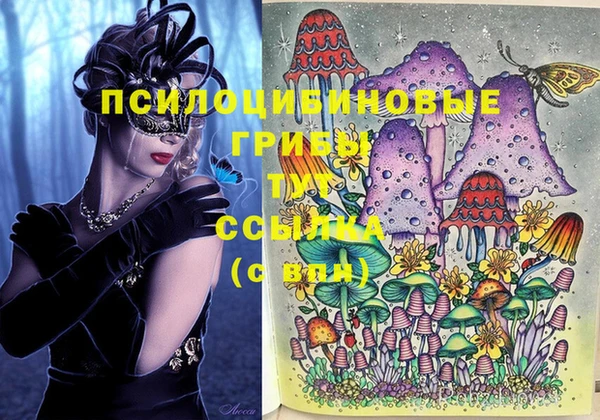 стафф Осинники
