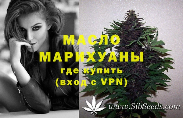 стафф Осинники