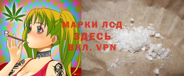 стафф Осинники