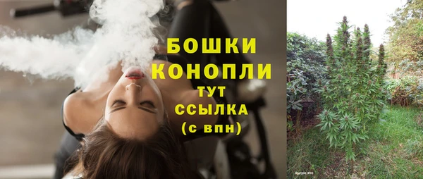 стафф Осинники