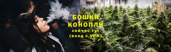 стафф Осинники