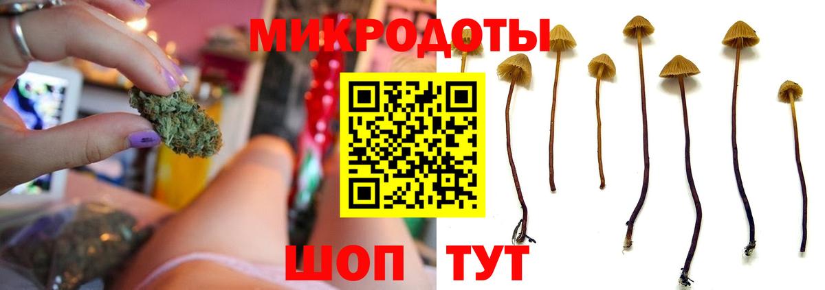 Псилоцибиновые грибы Psilocybine cubensis  как найти   Ишимбай 